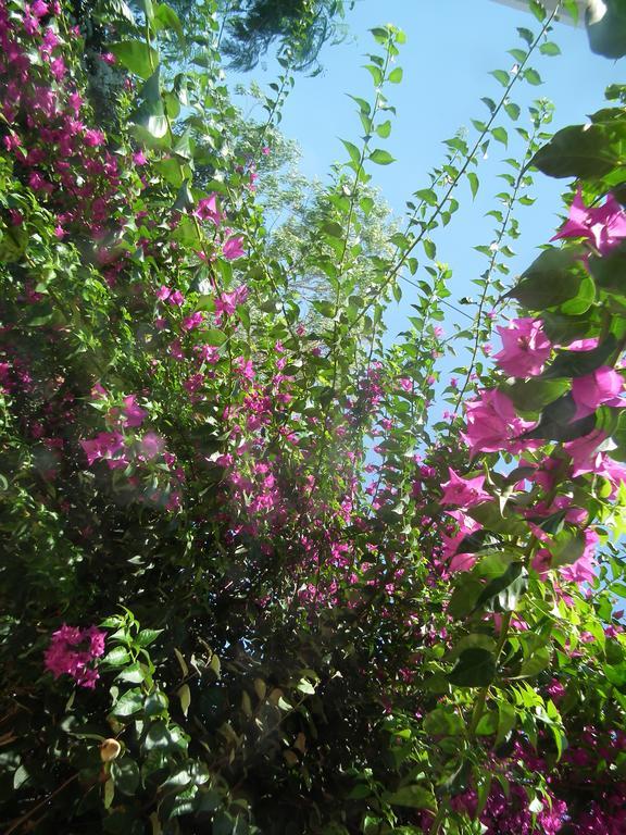 The 18, Marsa Guest House 拉马萨 外观 照片