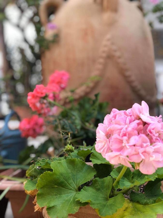The 18, Marsa Guest House 拉马萨 外观 照片